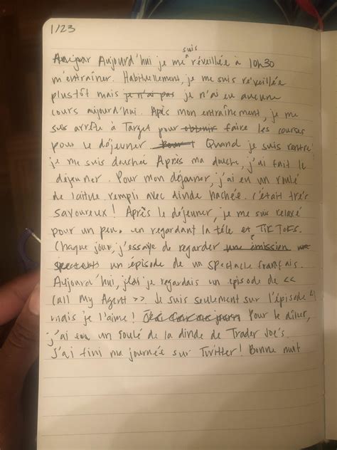 traduction diary|diary in french translation.